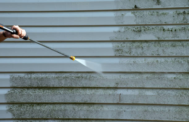 Best Office Mold Removal Services  in Cayuga, IN