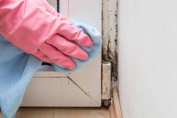 Best Mold Testing  in Cayuga, IN