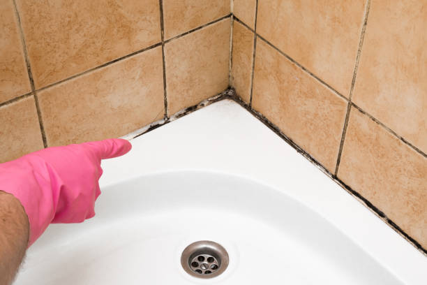 Best Mold Testing  in Cayuga, IN